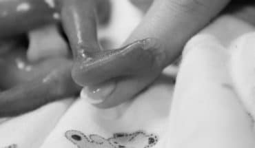 Foetus