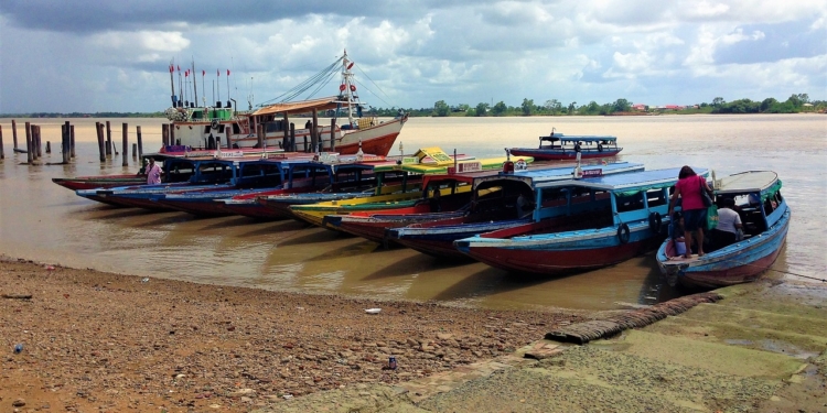 Suriname korjalen
