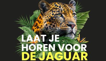 earth hour jaguar | GFC
