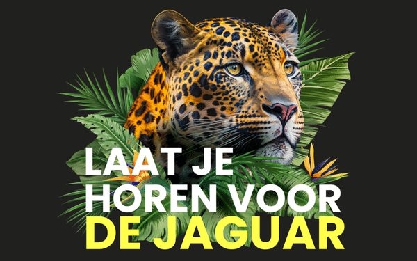 earth hour jaguar