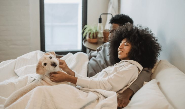 hond dier bed koppel stel | GFC