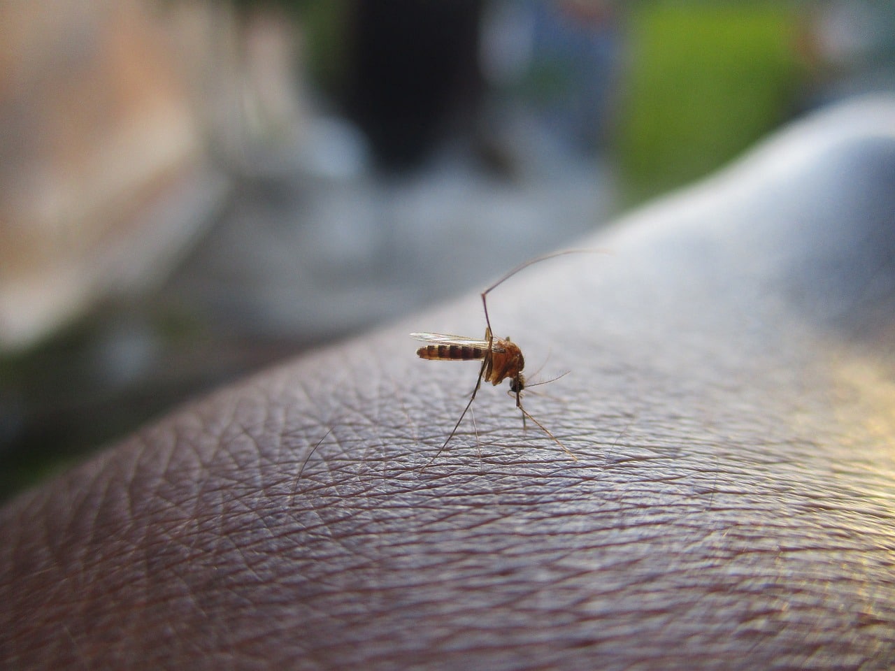 Gebrek aan bewustwording over dengue zorgwekkend
