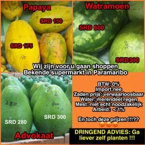Fruit Suriname duur