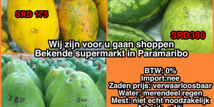 Fruit Suriname Duur