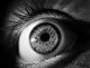 Oog