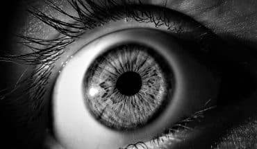 Oog