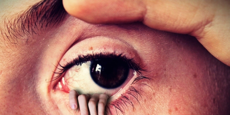 Oog wenkbrauw