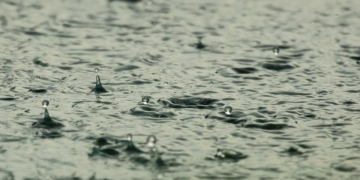 Regen