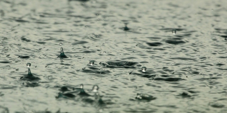 Regen