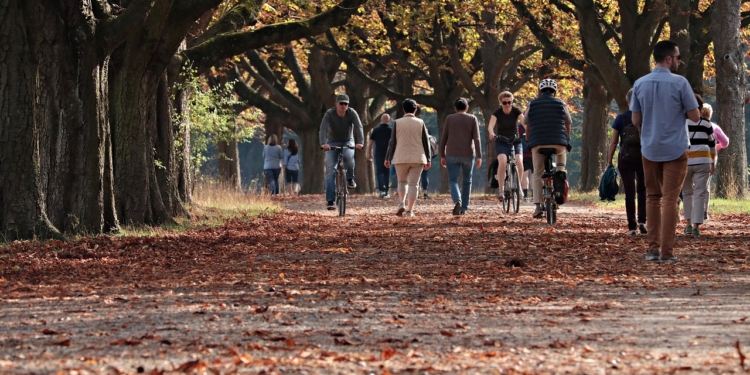 Wandelpark