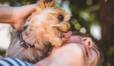 hond-likken