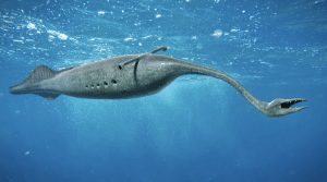 tully monster | GFC