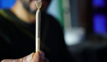 Cannabis