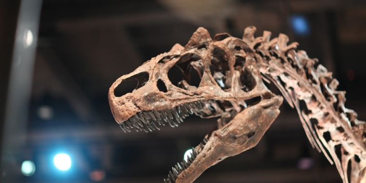 Dinosaurus