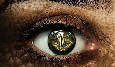Duivel oog