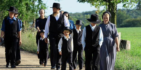 Mennonieten