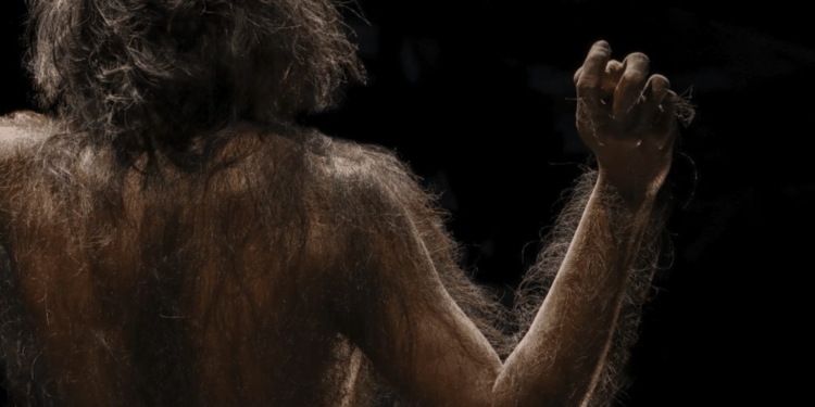mens homo sapiens