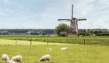 nederland weiland | GFC