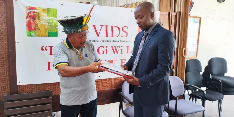 vids inheemsen nh minister abiamofo