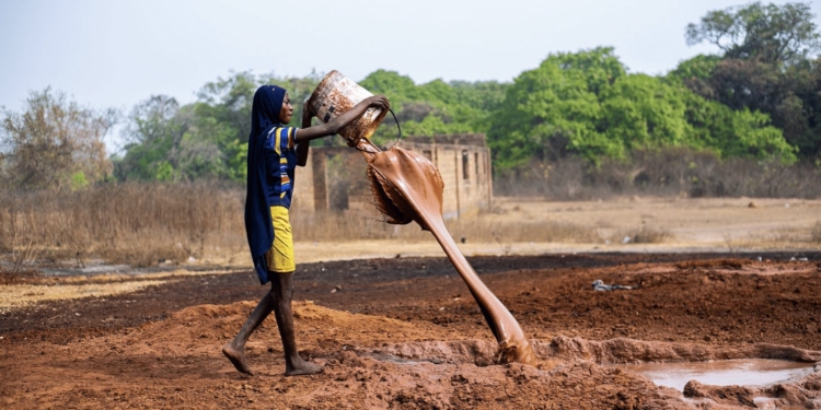 werker arbeider landbouw productie agrarisch