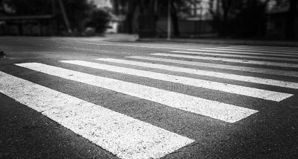 zebrapad
