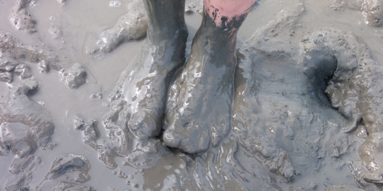 Modder