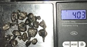 coca drugs | GFC