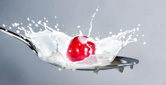 Melk Zuivel