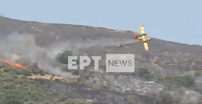 canadair