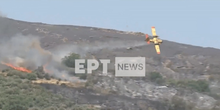 canadair