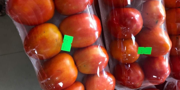 tomaten rotated