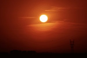 zon