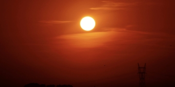 zon