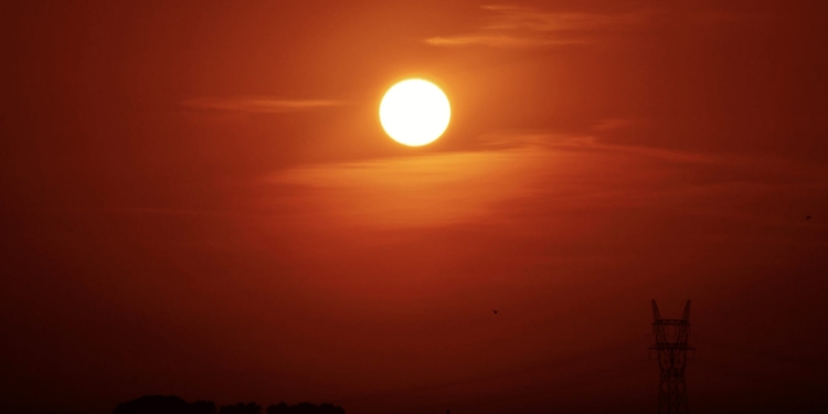 zon