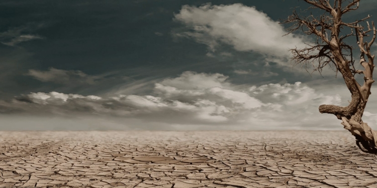 droogte klimaatverandering
