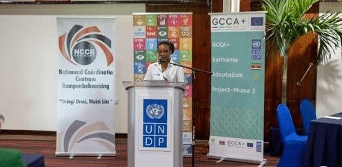 sdg