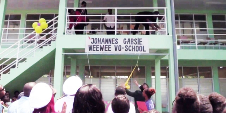 vos school brownsweg