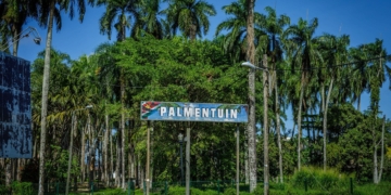 palmentuin 1 scaled