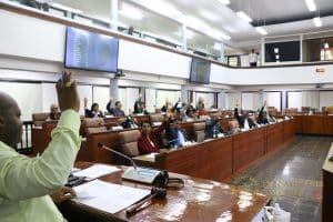parlement dna bee