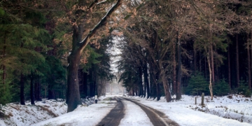 nederland kou winter sneeuw