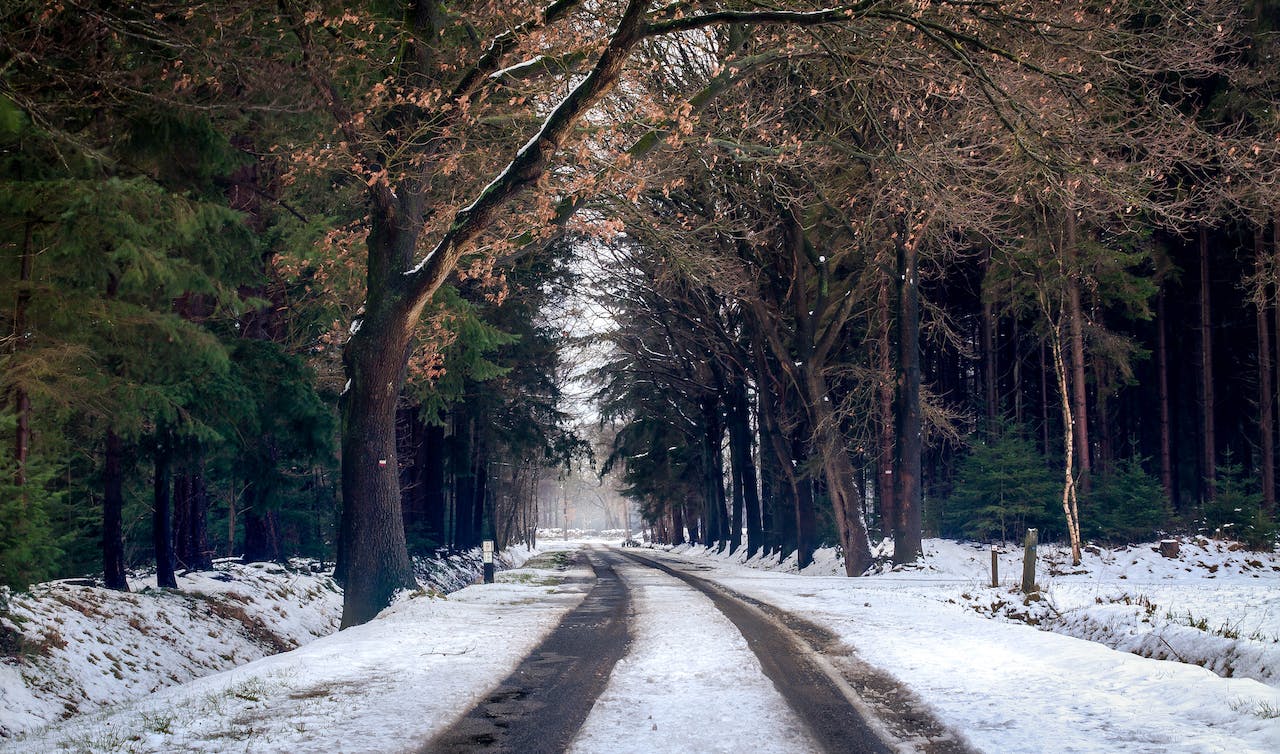 nederland kou winter sneeuw