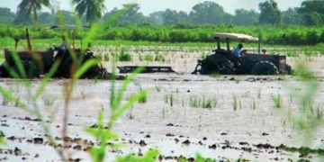 tractor rijstaanplant