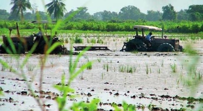 tractor rijstaanplant