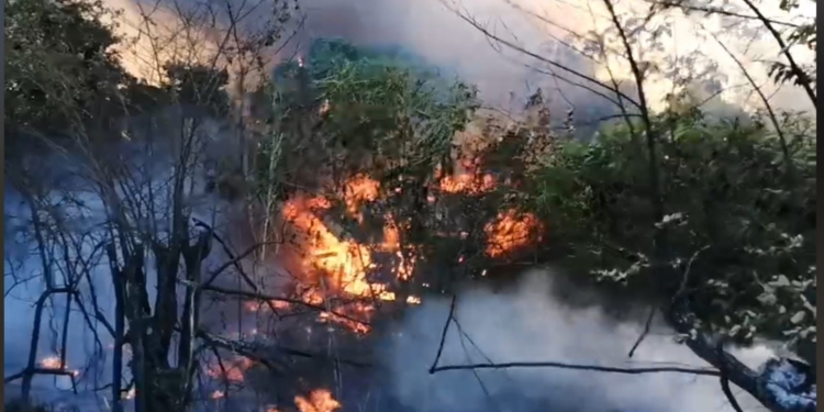 vuil verbranden paramaribo suriname