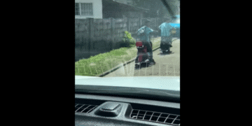 ebikes