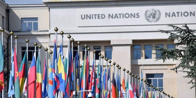verenigde naties VN UN united nations