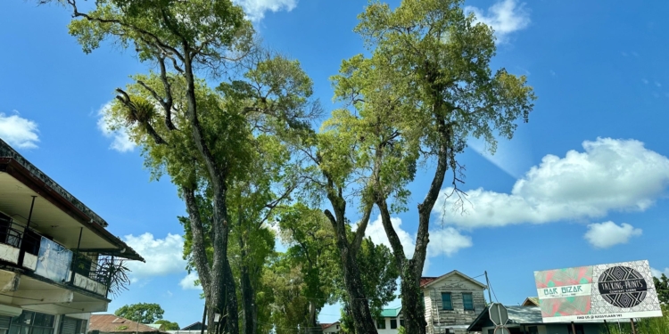 paramaribo suriname