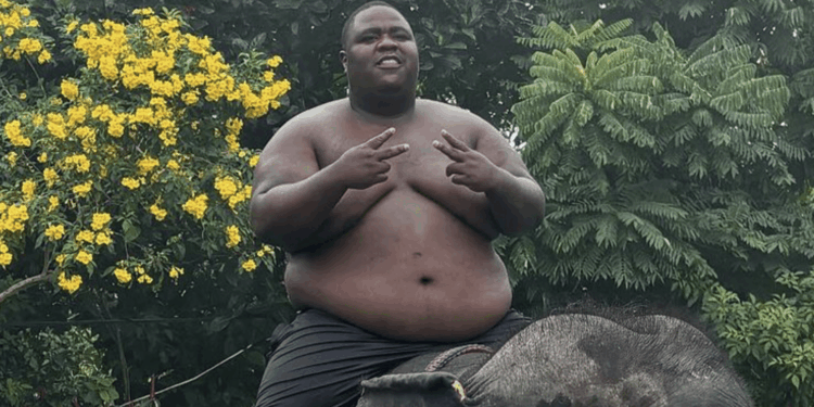bigidagoe
