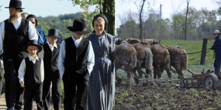 mennonieten suriname
