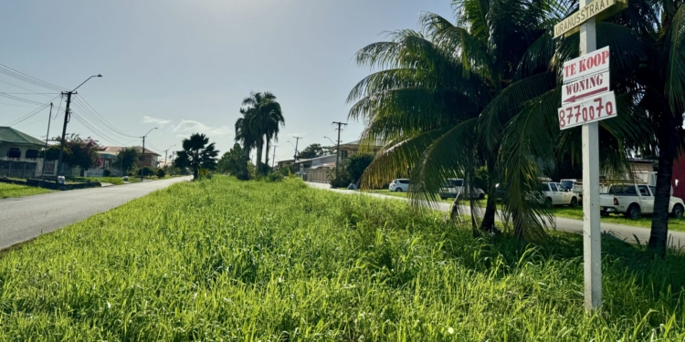 paramaribo suriname perceel